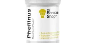 THE SHROOM SHOP PHELLINUS 90000MG POWDER